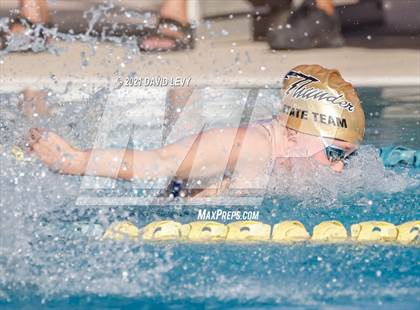 Thumbnail 2 in AIA D1 Swim Finals photogallery.