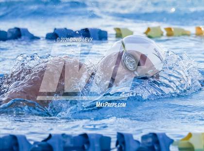 Thumbnail 1 in AIA D1 Swim Finals photogallery.
