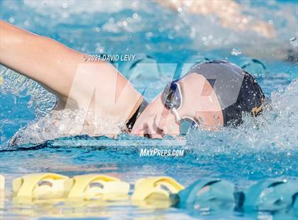 Thumbnail 1 in AIA D1 Swim Finals photogallery.