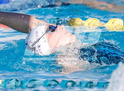 Thumbnail 3 in AIA D1 Swim Finals photogallery.