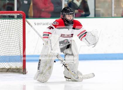 Thumbnail 3 in Needham @ Wellesley photogallery.