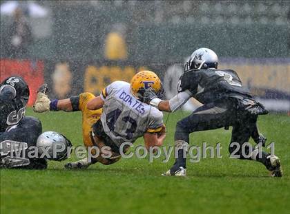 Thumbnail 2 in Madison vs. Escalon (CIF State D3 Final) photogallery.