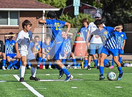 Thumbnail 3 in Bear Creek vs Wheatridge photogallery.