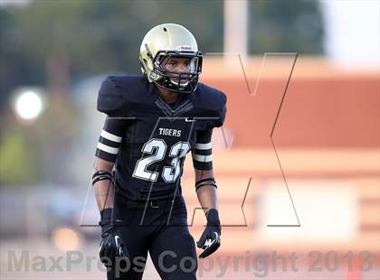 Thumbnail 1 in Grand Prairie @ Irving photogallery.