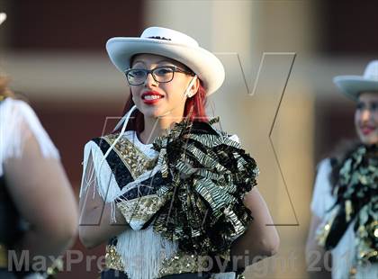 Thumbnail 3 in Grand Prairie @ Irving photogallery.