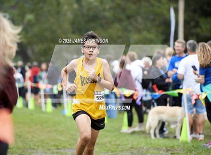 Thumbnail 2 in New World Fall Spectacular photogallery.