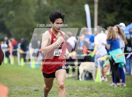 Thumbnail 1 in New World Fall Spectacular photogallery.