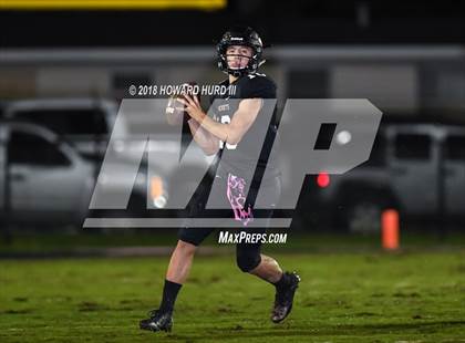 Thumbnail 2 in Aledo @ Cleburne photogallery.