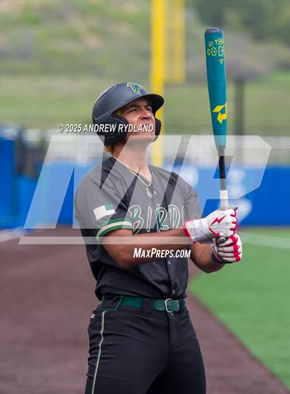 Thumbnail 3 in Falcon vs. Palisade (CHSAA 4A Round 2) photogallery.