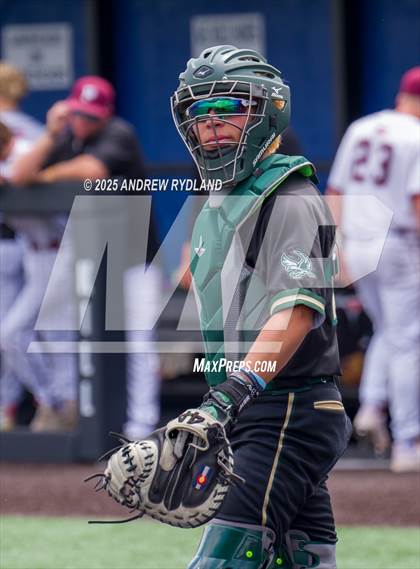 Thumbnail 1 in Falcon vs. Palisade (CHSAA 4A Round 2) photogallery.