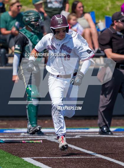 Thumbnail 1 in Falcon vs. Palisade (CHSAA 4A Round 2) photogallery.