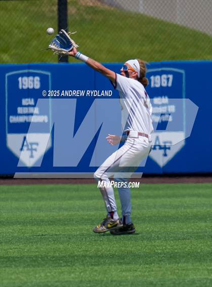 Thumbnail 1 in Falcon vs. Palisade (CHSAA 4A Round 2) photogallery.