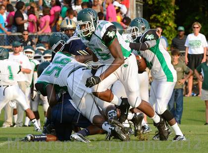 Thumbnail 3 in Pearl @ Vicksburg photogallery.