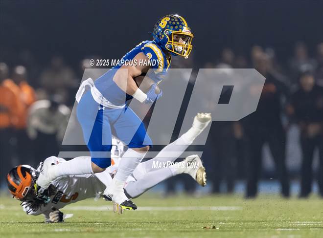 null - Photo 91