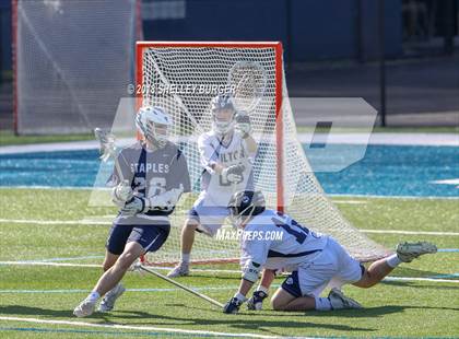 Thumbnail 3 in Staples vs Wilton photogallery.
