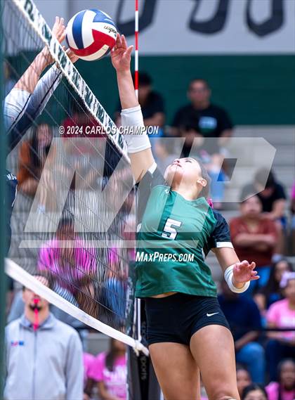Thumbnail 1 in Hendrickson @ Pflugerville Connally photogallery.