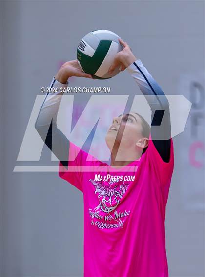 Thumbnail 3 in Hendrickson @ Pflugerville Connally photogallery.