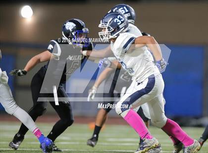 Thumbnail 2 in Milken vs  Chadwick photogallery.