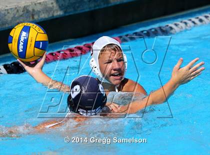 Thumbnail 3 in Rodriguez vs Antelope ( Sierra Shootout) photogallery.