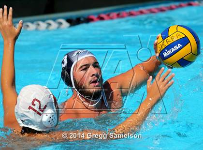 Thumbnail 1 in Rodriguez vs Antelope ( Sierra Shootout) photogallery.