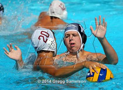 Thumbnail 3 in Rodriguez vs Antelope ( Sierra Shootout) photogallery.