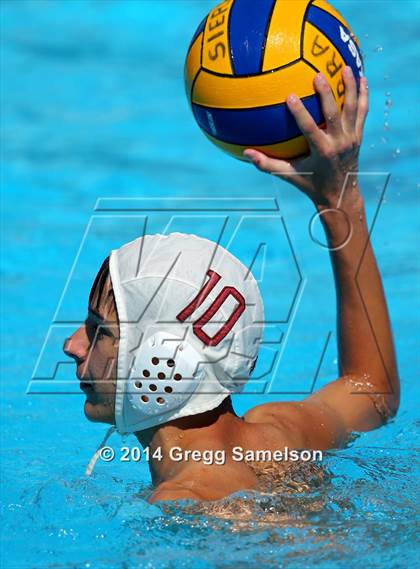 Thumbnail 2 in Rodriguez vs Antelope ( Sierra Shootout) photogallery.