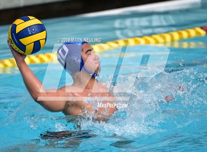 Thumbnail 1 in Menlo School @ Hillsdale photogallery.