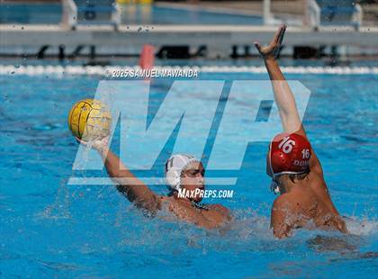 Thumbnail 3 in Sacred Heart Prep vs Harvard-Westlake photogallery.