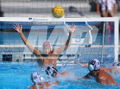 Thumbnail 2 in Sacred Heart Prep vs Harvard-Westlake photogallery.