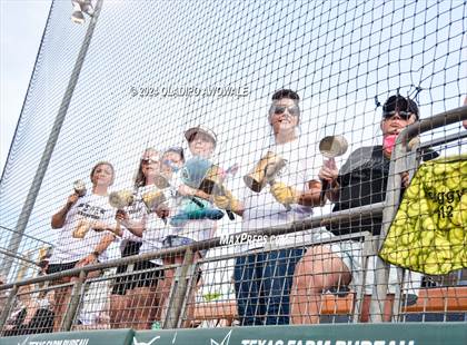 Thumbnail 1 in Crawford @ Shiner (UIL 2A Softball Semifinal) photogallery.