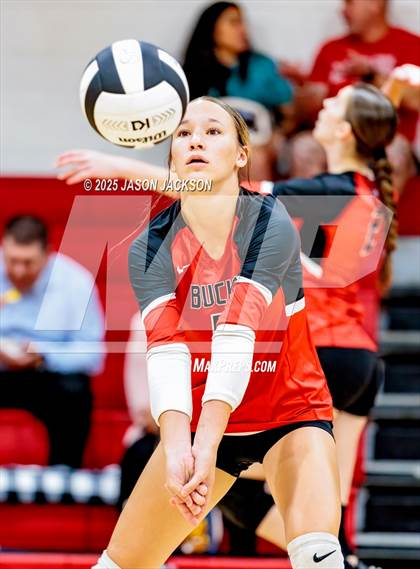 Thumbnail 3 in Seventy-First @ Hoke County photogallery.