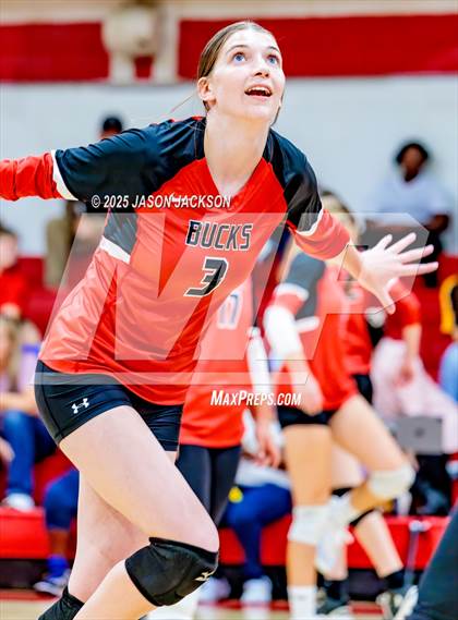 Thumbnail 3 in Seventy-First @ Hoke County photogallery.
