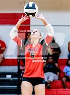 Photo from the gallery "Seventy-First @ Hoke County"