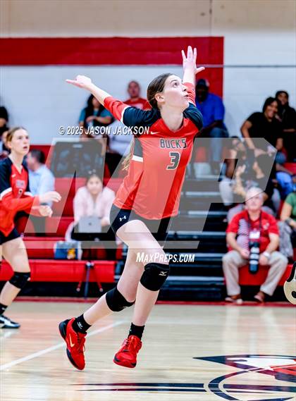 Thumbnail 3 in Seventy-First @ Hoke County photogallery.