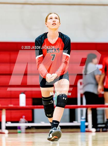Thumbnail 3 in Seventy-First @ Hoke County photogallery.