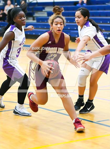 Thumbnail 1 in Shadow Ridge vs. Washington (DVHS Skyhawks Thanksgiving Tournament) photogallery.