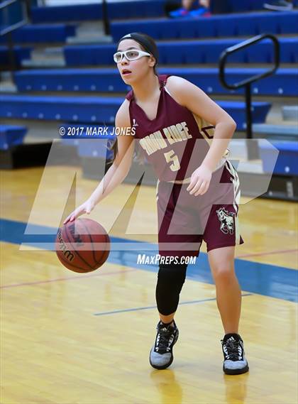 Thumbnail 2 in Shadow Ridge vs. Washington (DVHS Skyhawks Thanksgiving Tournament) photogallery.