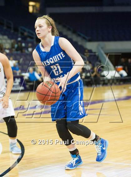 Thumbnail 2 in Mesquite vs Desert Vista (AIA Division 1 Quarterfinal) photogallery.