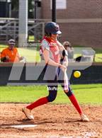 Photo from the gallery "Grovetown @ Harlem"