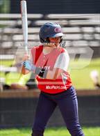 Photo from the gallery "Grovetown @ Harlem"