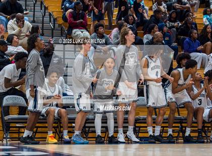 Thumbnail 1 in Lambert @ Norcross photogallery.