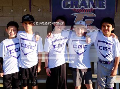 Thumbnail 1 in JV: Crane @ Tornillo photogallery.