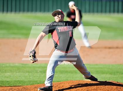 Thumbnail 3 in JV: Crane @ Tornillo photogallery.