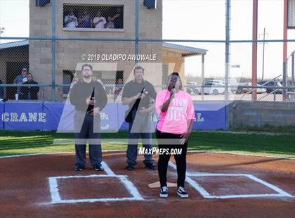 Thumbnail 3 in JV: Crane @ Tornillo photogallery.