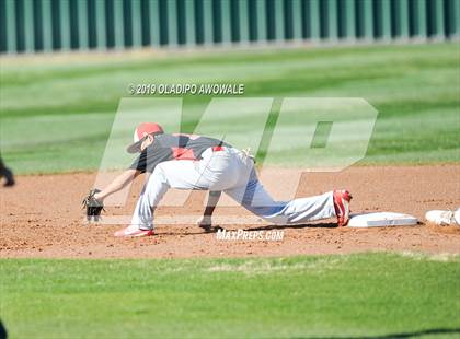 Thumbnail 1 in JV: Crane @ Tornillo photogallery.