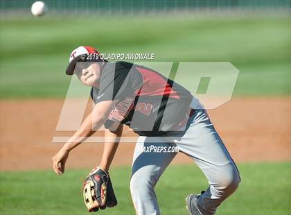 Thumbnail 1 in JV: Crane @ Tornillo photogallery.