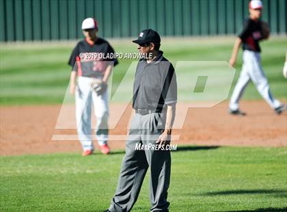 Thumbnail 1 in JV: Crane @ Tornillo photogallery.