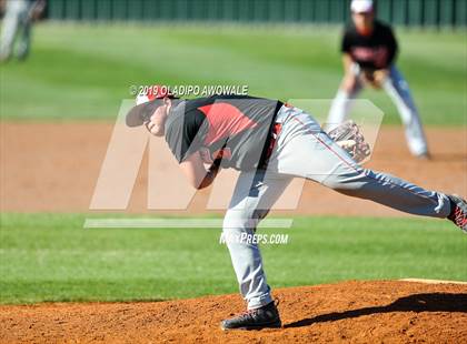 Thumbnail 2 in JV: Crane @ Tornillo photogallery.