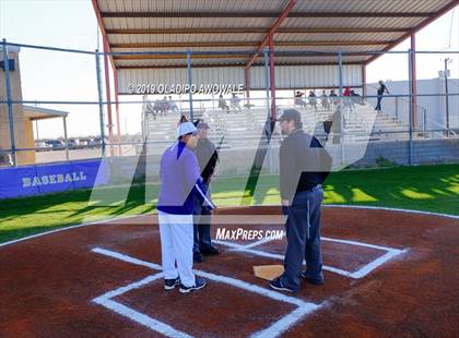 Thumbnail 2 in JV: Crane @ Tornillo photogallery.