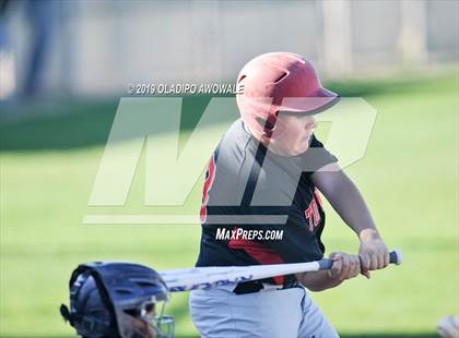 Thumbnail 2 in JV: Crane @ Tornillo photogallery.